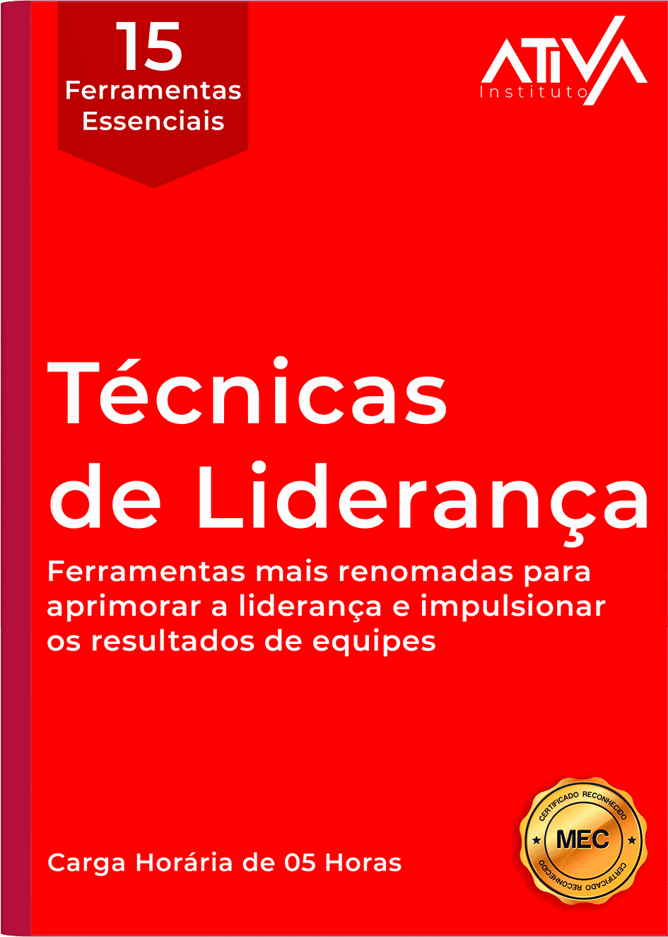 Técnicas de Liderança